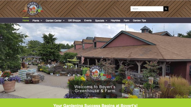 Retail Store Web Design