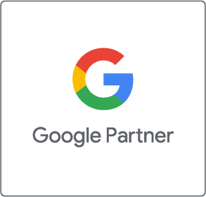 Google-partner-DigitalHipster-Inc
